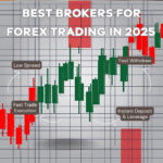 Best Brokers For Forex Trading In 2025 | Hamza Trading Hub